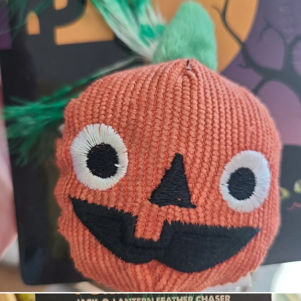 Halloween cat toy bundle!